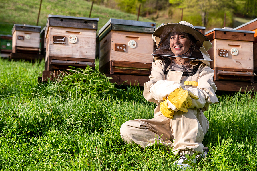 What Is a Group of Bees Called & their Functions What Is a Group of Bees Called and How Do They Function