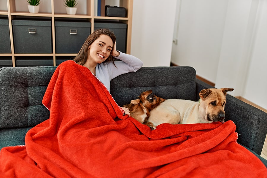 What Are Overwintering Pests? What Are Overwintering Pests