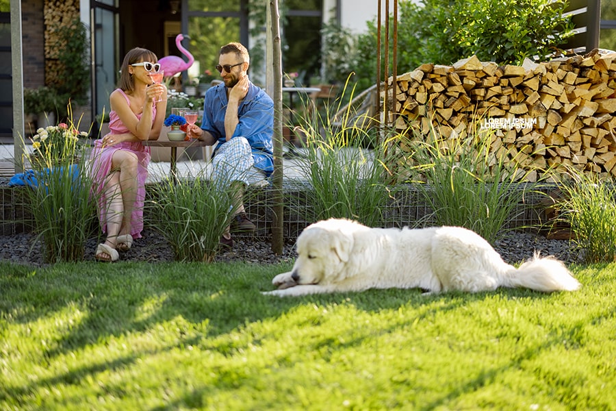 How To Stop Ants And Other Pests This Spring How To Stop Ants And Other Pests This Spring