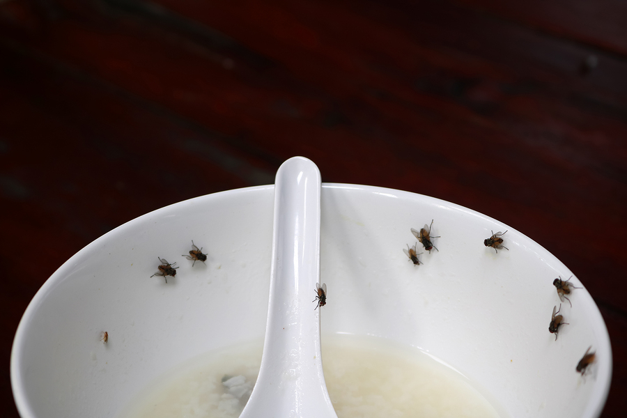 How to Prevent Pests From Entering Your Business