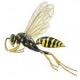 Stinging Insects