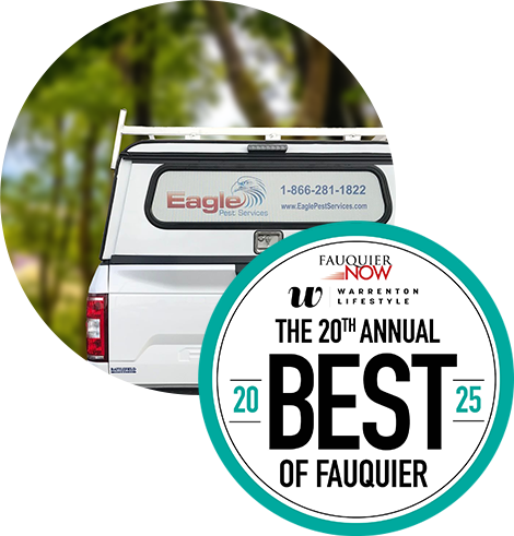 Best of Fauquier 2025 Banner